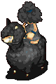 107024-21.gif