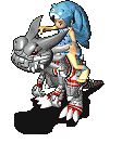 101276-21.gif