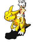 f518b13e3002bc97229b51447b6ce5ea.gif