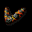 23381.gif