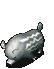 005.gif