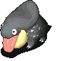 58.gif