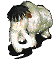 098.gif