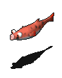 102426-10.gif