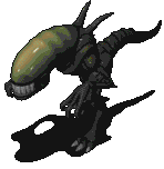 102514-10.gif